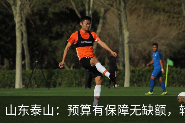 山东泰山：预算有保障无缺额，转型阵痛期的阵容困境、青训调整与连鲁对决展望