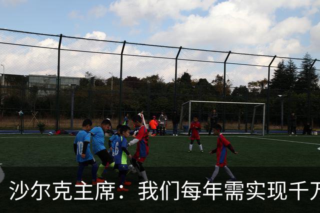 沙尔克主席：我们每年需实现千万欧净利润，面临德甲最大竞争劣势